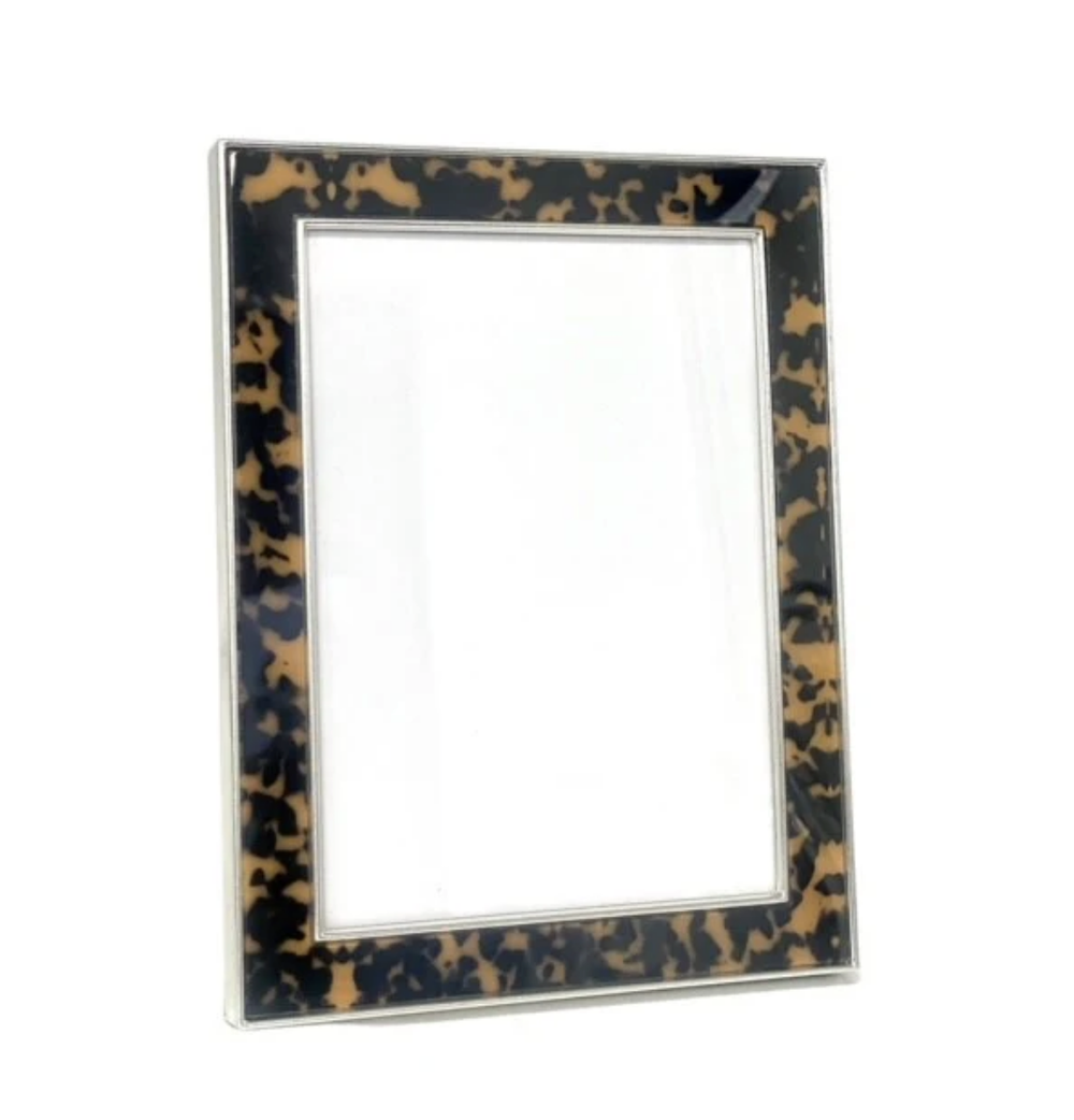 Enamel Tortoise Print & Silver Frame 13 x 18 cm
