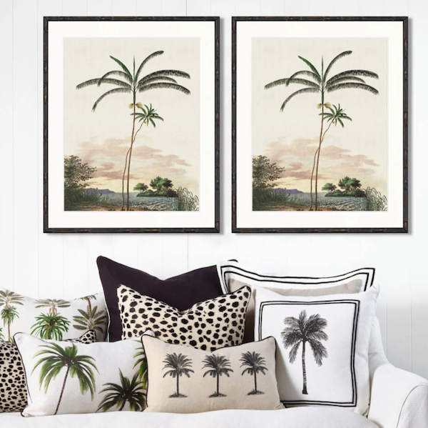 Serengeti Cotton Cushion 30 x 50