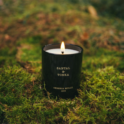 Santal & Tonka 600g Premium Candle by Cereria Molla.