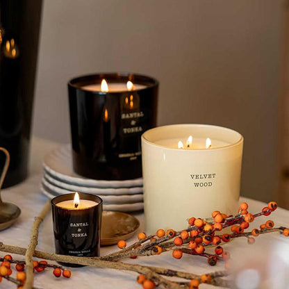 Velvet Wood 600g Premium Candle by Cereria Molla