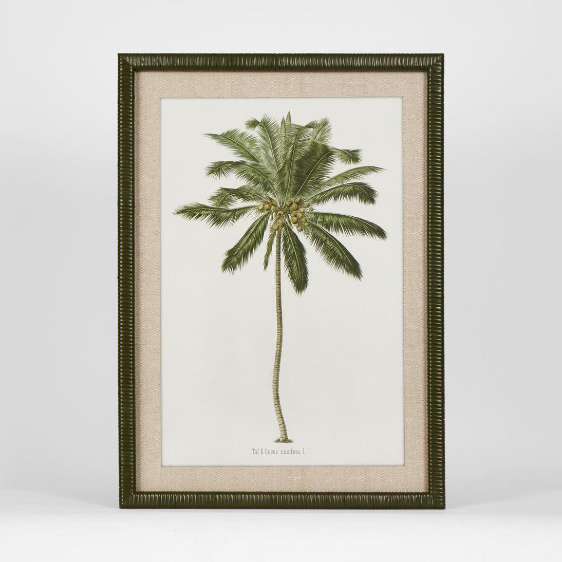 Apia Palm Print I