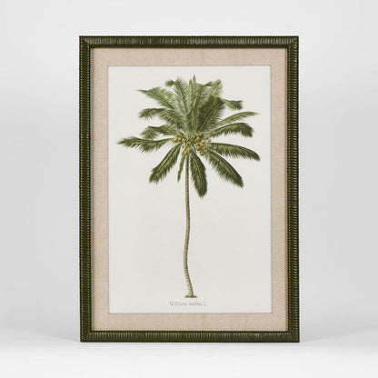 Apia Palm Print I