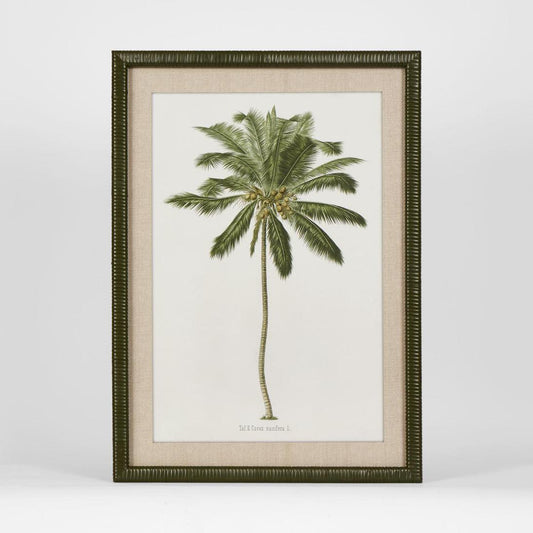 Apia Palm Print I