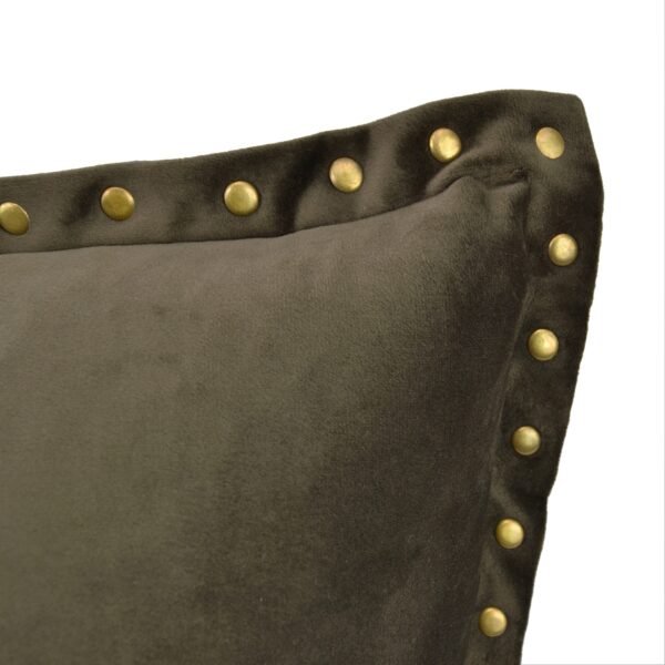 Studded Fine Velvet Cushion