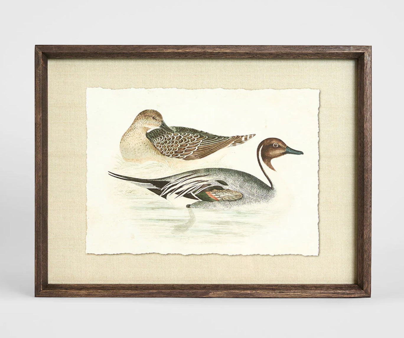 Country Ducks Wall Art A