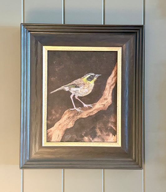 Melissa Hartley’s ‘Yellow-Throated Scrubwren’ Oil on Canvas