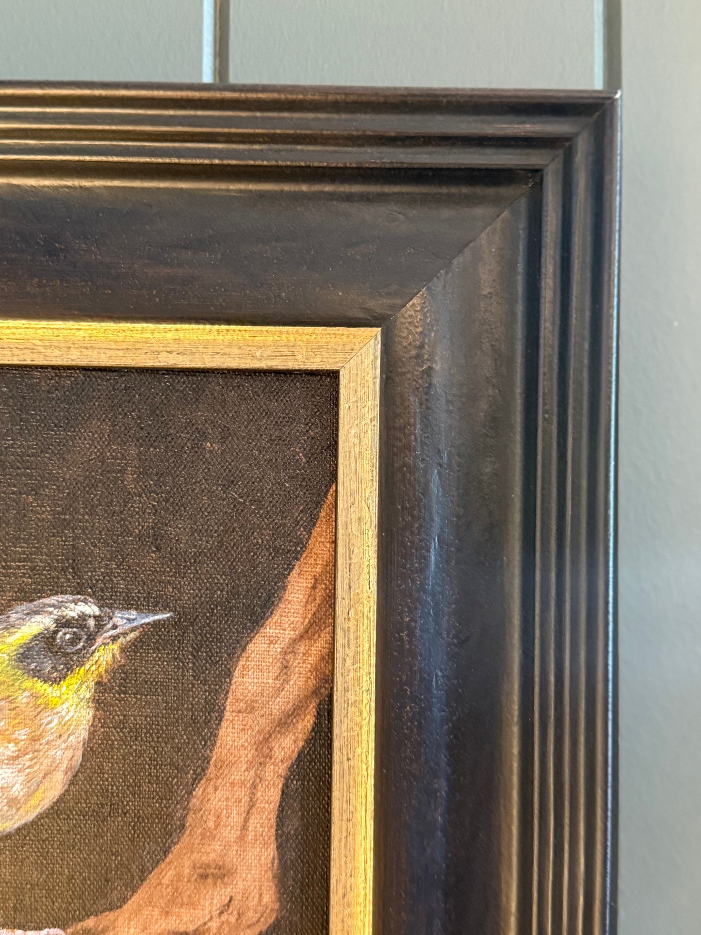 Melissa Hartley’s ‘Yellow-Throated Scrubwren’ Oil on Canvas