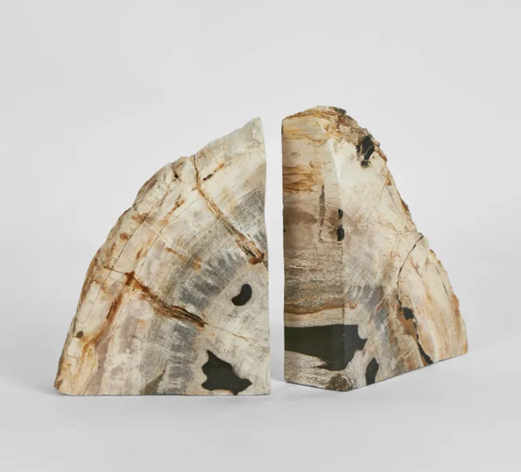 Petrified Wood Bookends