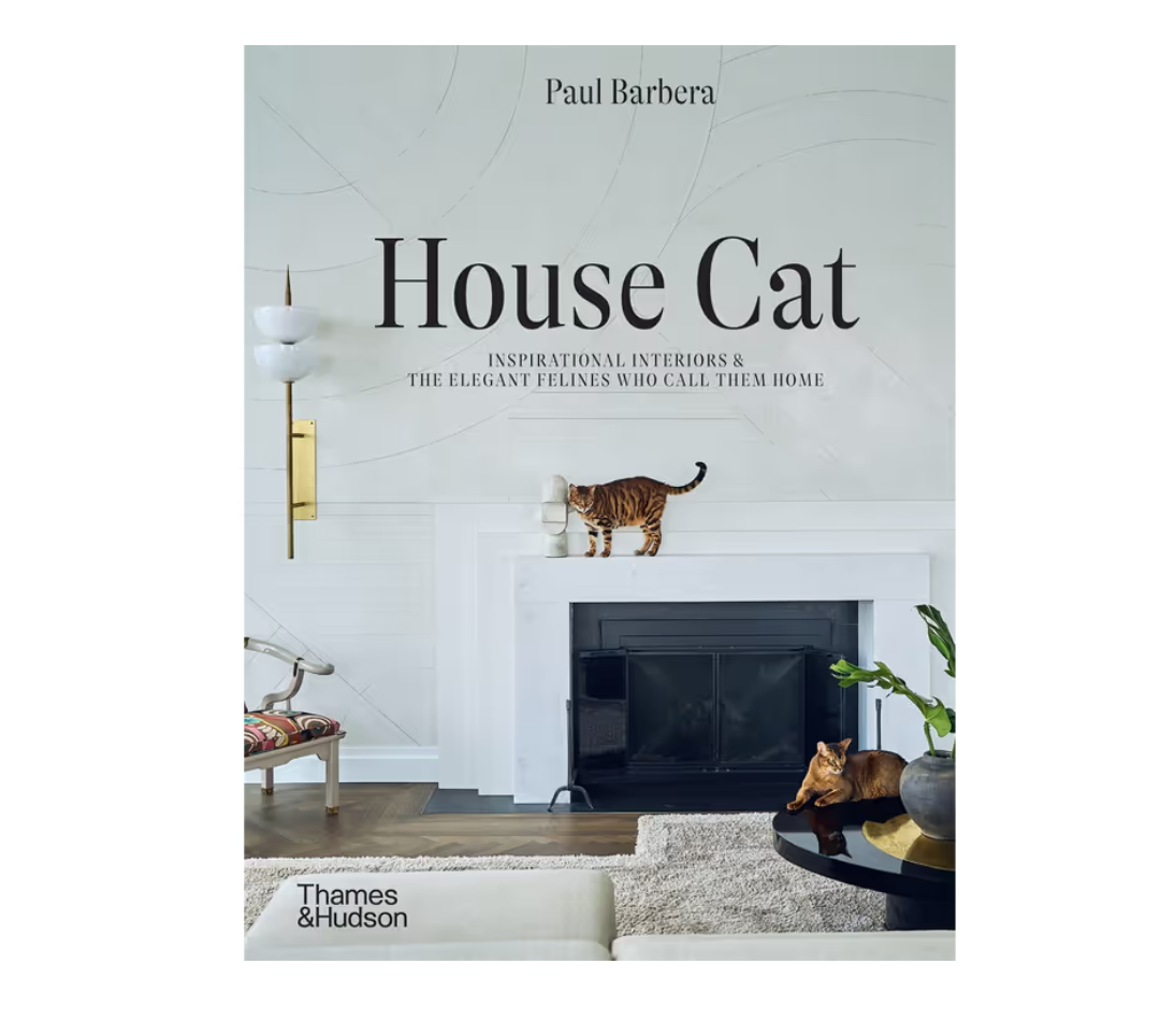 House Cat