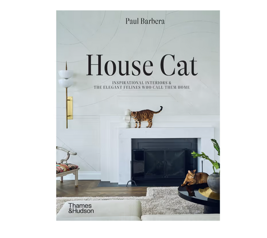 House Cat