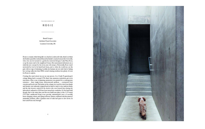 Resident Dog Volume 2 - Incredible Homes and the Dogs That Live There