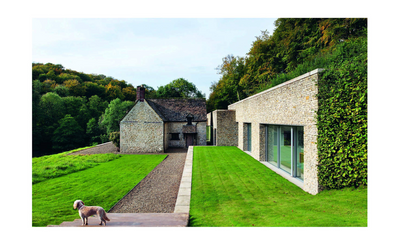 Resident Dog Volume 2 - Incredible Homes and the Dogs That Live There