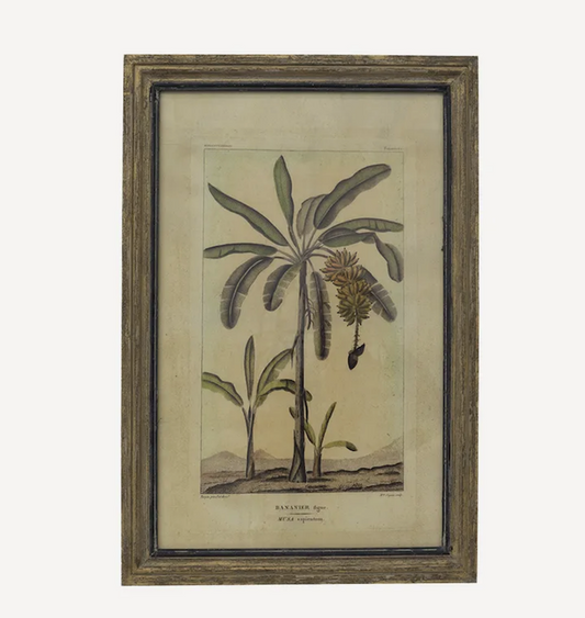 Botanical Wall Art Palms Species A