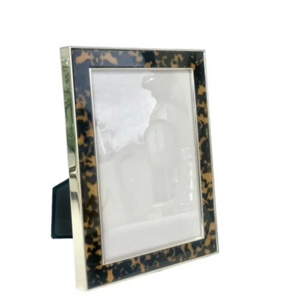 Enamel Tortoise Print & Silver Frame 13 x 18 cm