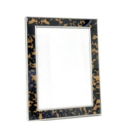 Enamel Tortoise Print & Silver Frame 13 x 18 cm