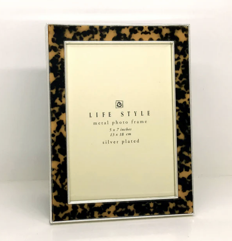 Enamel Tortoise Print & Silver Frame 13 x 18 cm