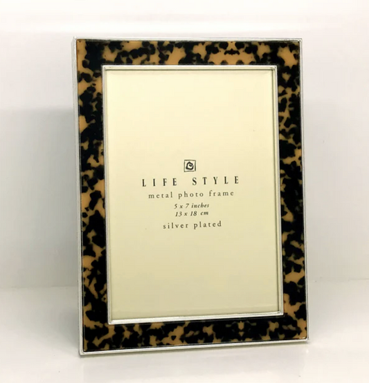 Enamel Tortoise Print & Silver Frame 13 x 18 cm