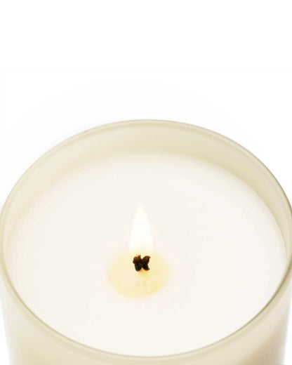 Cereria Molla Premium Candle - Bergamotto di Calabria 230g
