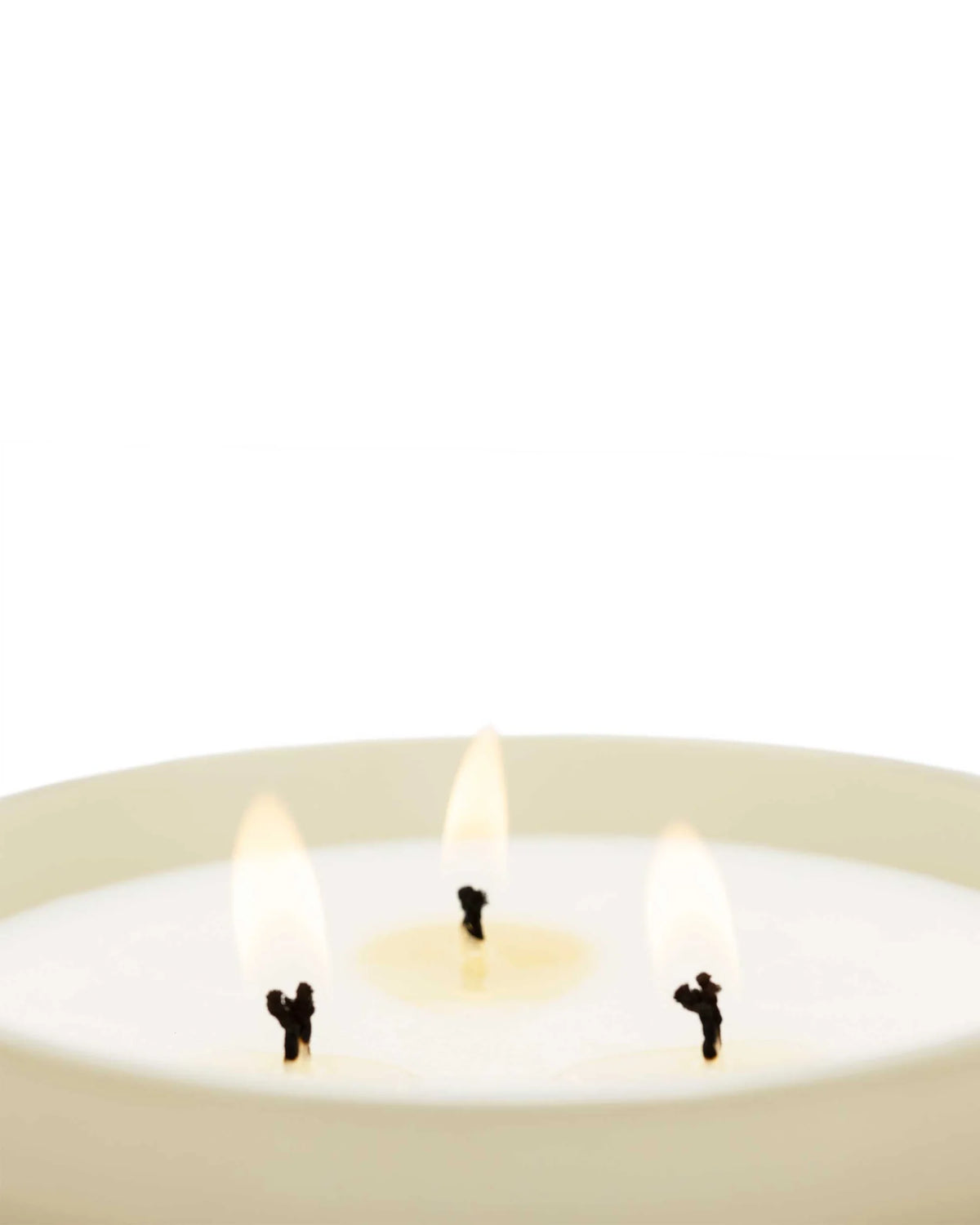 Cereria Molla Premium Candle - Bergamotto Di Calabria 600g
