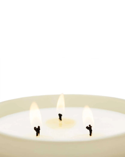 Cereria Molla Premium Candle - Bergamotto Di Calabria 600g