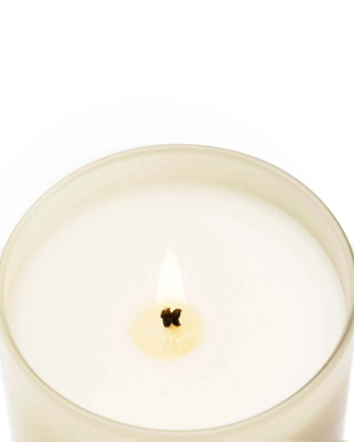 Cereria Molla Premium Candle - Velvet Wood 230g