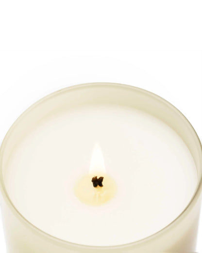 Cereria Molla Premium Candle - Velvet Wood 230g